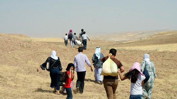 Suriyeli mülteci gençler ‘bonzai torbacısı’ yapılıyor