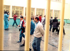 Avrupa’nın lideriyiz…