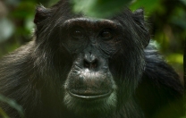 Aynı ama başka bir dünyanın hikâyesi