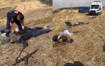 Canavarlığın daniskası…