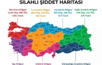 2023 YILI TÜRKİYE’NİN ŞİDDET HARİTASI