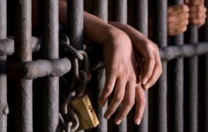 Çocuklar ve şiddet…