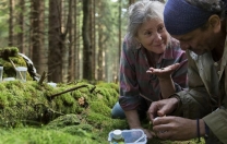 Ava giden avlansın politik bir masal