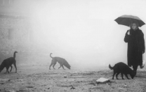 Karanlık armoniler seyirciyi çağırıyor Karanlık armoniler seyirciyi çağırıyor