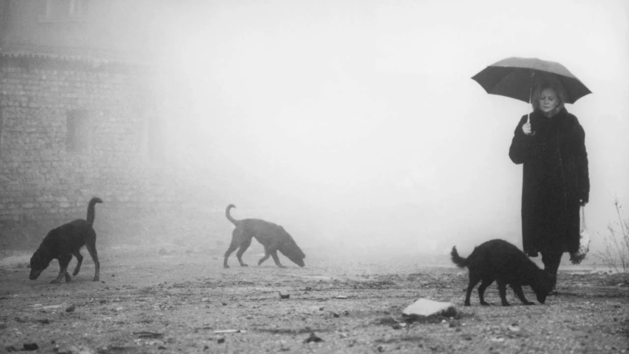 Karanlık armoniler seyirciyi çağırıyor