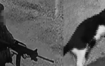 Kediyi tüfekle öldüren sanığa 5 ay hapis